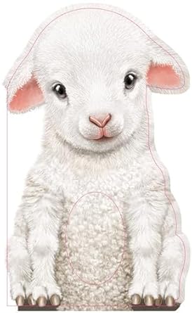 Furry Lamb