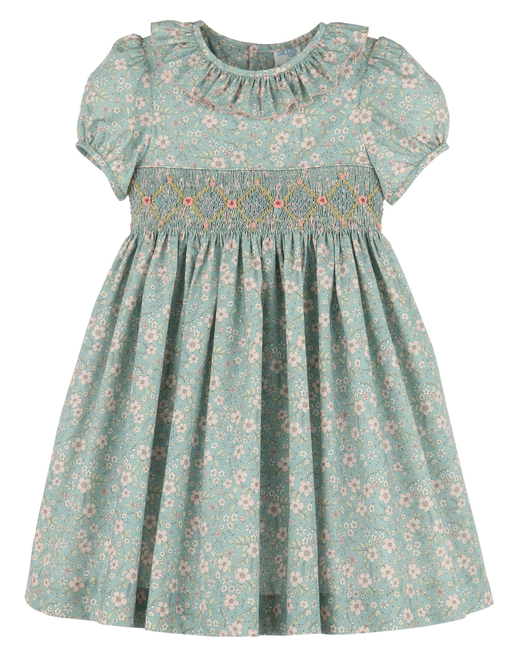 Winter Blooms Aqua Dress