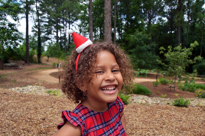 Santa Christmas Hat