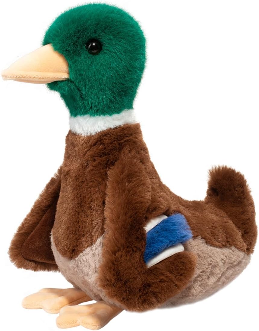 Desie Mallard Duck