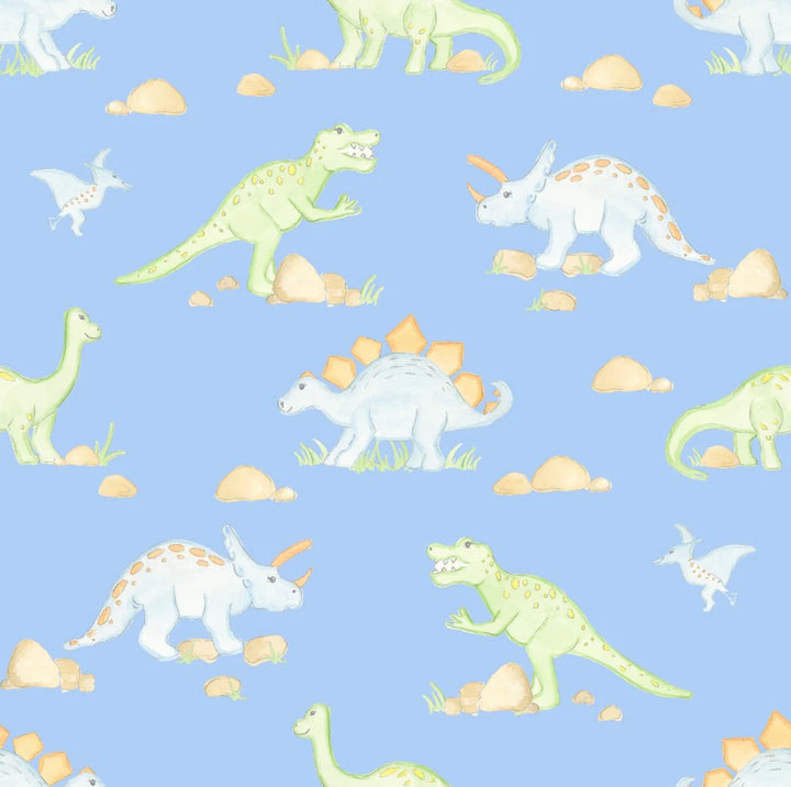 Rory Diaper Set- Dinosaur