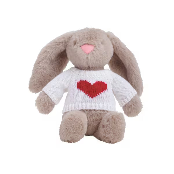 Valentine Plush Pal
