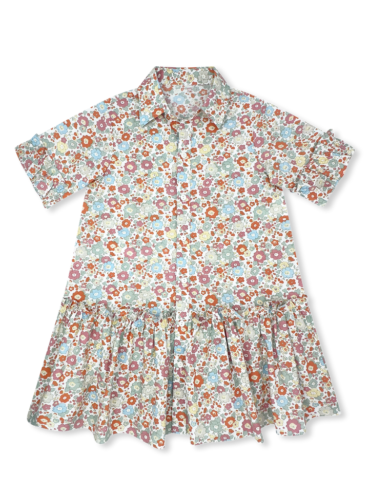 Darcy Dropwaist Dress- Whimsy Blooms