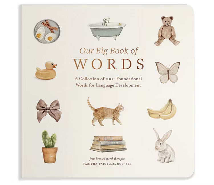 Our Big Book of Words