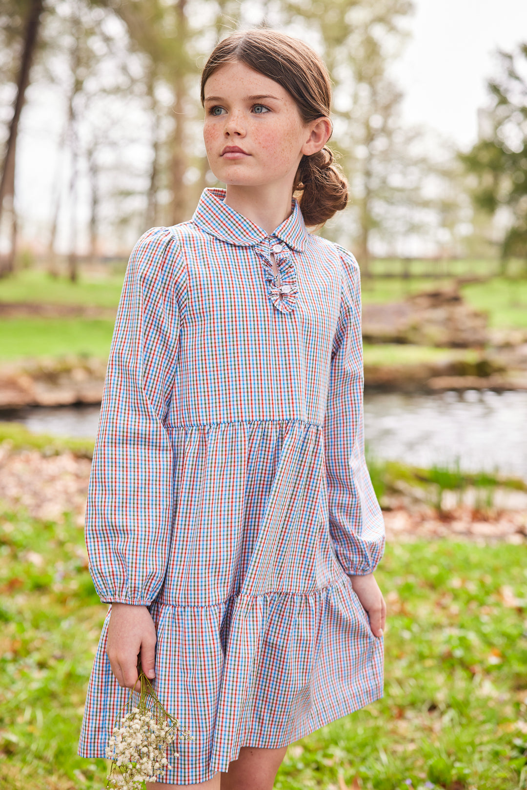 Haisley Dress- Teton Plaid