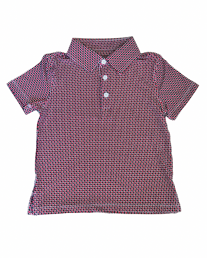 Polo- Micro GA Outline