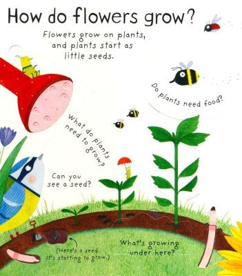 How Do Flowers Grow? Interactive book