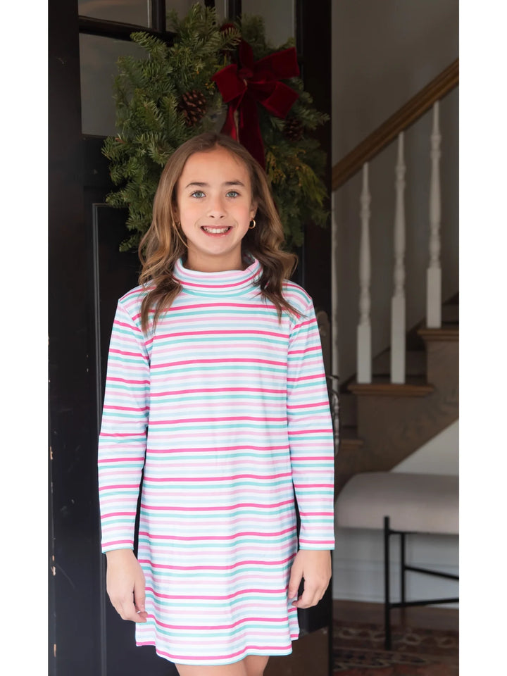 Teagan Turtleneck Dress- Stripe