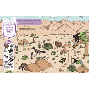 America's National Parks Activity Book