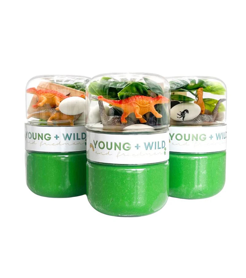 Grab and Go Jar- Dino