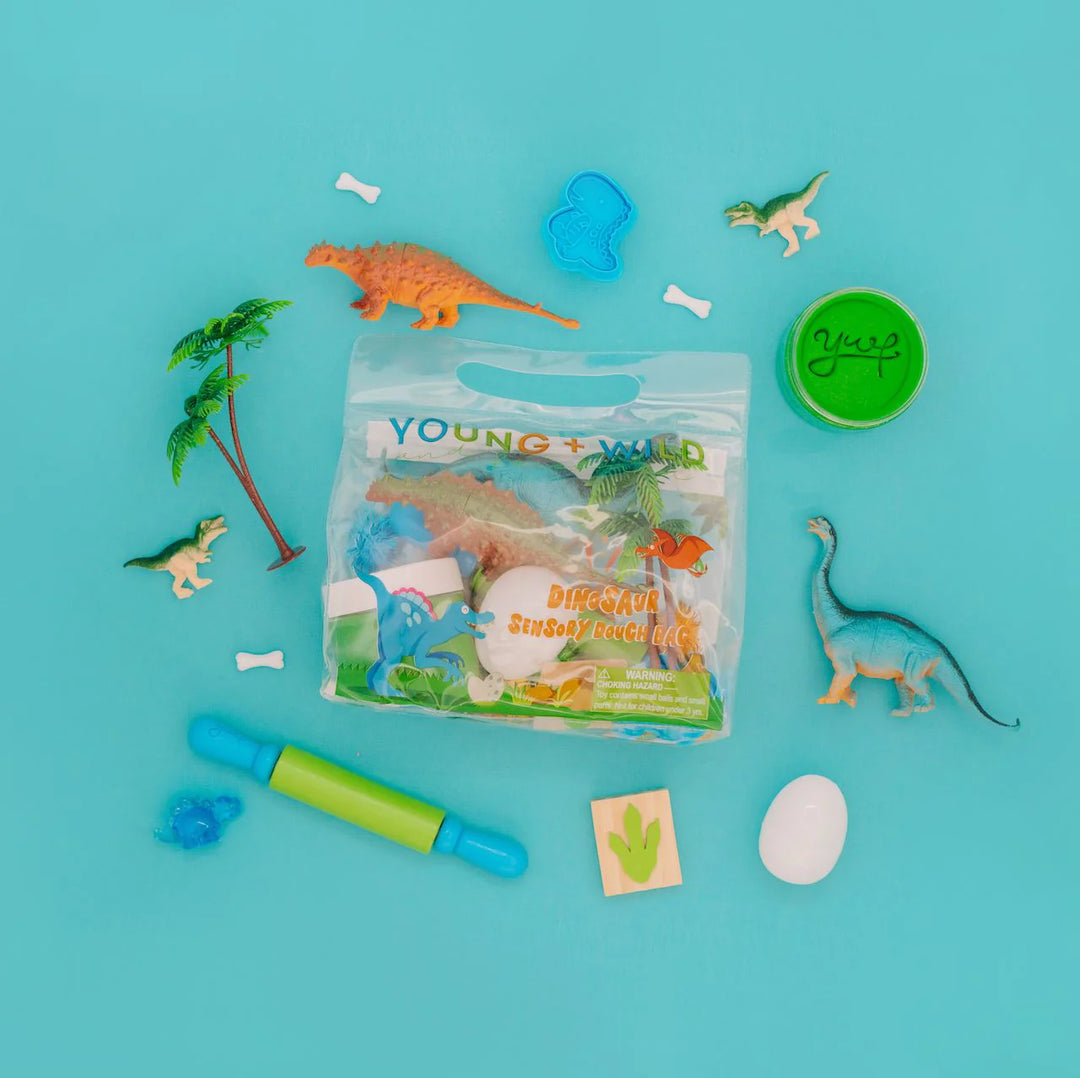 Sensory Dough Bag- Dinosaur