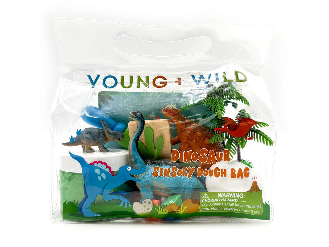 Sensory Dough Bag- Dinosaur